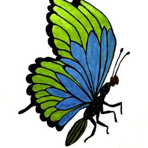 PAINTING WATERCOLOR 8X10 AND WHITE MAT 16X20 BUTTERFLY BLUE GREEN ORIGINAL ART